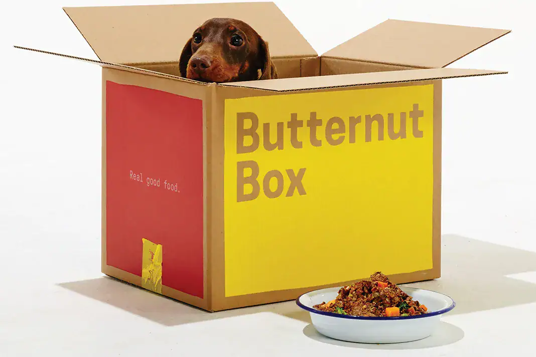 Event Brand Ambassador bij Butternut Box